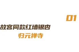 乘地铁汉阳游玩攻略出炉图片