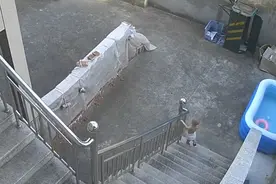 后奶奶将孙子锁门外：知情人发声，监控曝光→图片