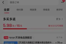 “双十一”电商平台“先用后付”引热议  一键开通难关闭图片