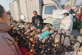 冬游青岛・探大集｜各地特产整车来卖，沙子口大集，就是一个“鲜”图片