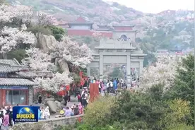 特色活动多姿多彩 尽享假日快乐时光图片