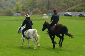 秦巴深处养马人图片