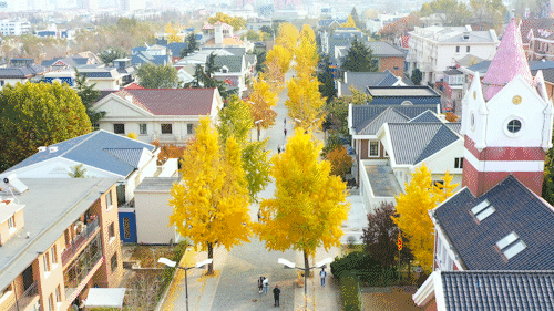 尽享秋日浪漫，大连24个“叶景打卡地”名单来了！