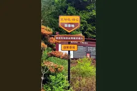 优秀！安岳入选2024年国内文化旅游宣传推广典型案例图片