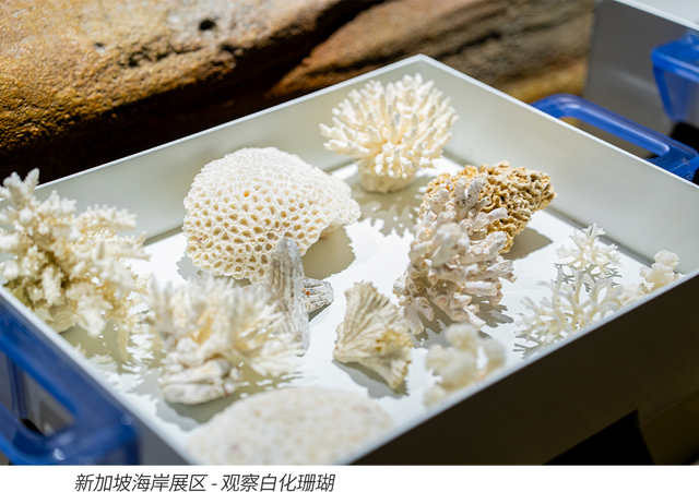 新加坡圣淘沙名胜世界：未来的另一种答案