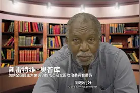 凯雷特维·奥普库：尼日尔供应了欧盟25%的铀，本国电力普及率却仅12%图片