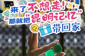 来了不想走！那就把“昆明记忆”带回家图片