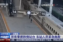 车门正关闭 一旅客从门内跌出晕倒在站台上 危急时刻……图片