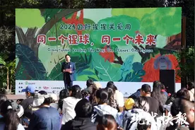 寄张明信片去热带雨林，红山动物园呼吁保护猩猩栖息地图片