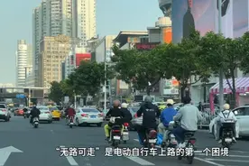 超2500万辆！“电鸡”治理难题，回应来了图片