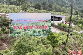 （年终特稿）东西部的“一对朋友”图片