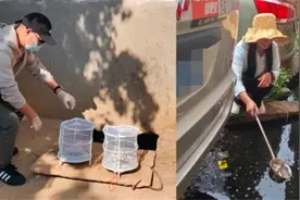 昆明市疾控中心完成2024年度重要病媒生物抗药性检测图片