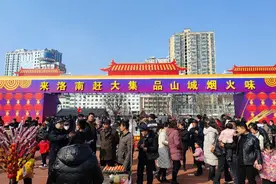 洛南举办“来洛南赶大集 品山城烟火味”系列活动图片