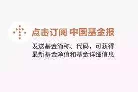 半导体、新能源突然暴涨，公募基金紧急解盘图片