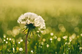 山东明年底前全面完成水泥、焦化行业超低排放改造图片