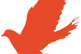 志愿沂蒙 | 大爱托起成长梦！临沂市“希望小屋”工作登上齐鲁先锋图片