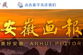 聚焦 | 行稳致远，安徽画报《合肥教育这十年特辑》共嗅书香图片