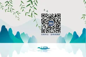 自然资源部办公厅关于林木林地权属争议调处事宜的函图片