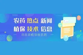 氟啶胺、甲霜灵、代森锰锌……这些常用农药都有致命缺点图片