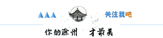 滁州网站建设运营公司（滁州一国企公开招聘今日起报名）