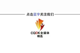 重庆市2023年度考试录用公务员报考指南图片