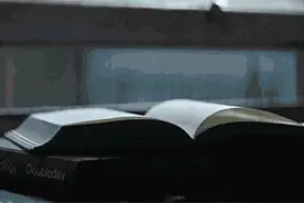 约翰·契弗：猪掉进井里的那一天图片