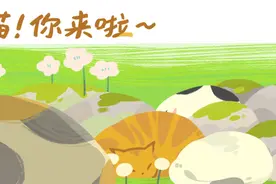 新主人自称“打工人”？16万的“网红柴犬”后续来了图片