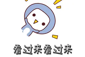 宝山区教育系统321个教师岗位即将招聘，11月6日报名图片