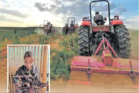 科技赋能，金融服务拓展新空间（财经眼·金融创新助力乡村振兴①）图片