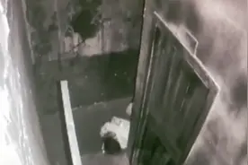 密室逃脱又出事！被NPC追逐，女子“飞下”3米缓坡致多处骨折……图片