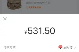 双11支付新变化！银联云闪付首次加入，网联、银联、连通首次齐聚图片