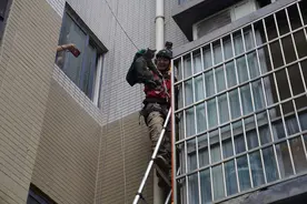 猫咪救援队图片