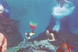 用表演科普海洋知识 厦门“美人鱼”母女演绎童话世界图片