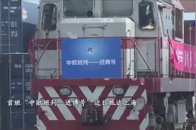 全球连线｜穿梭往来的中欧班列给进博会带来宝藏视频封面