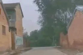 小偷踩点引恐慌，俩山东好汉挺身而出“为民除害”，结局大快人心图片