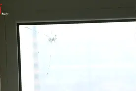 “不敢站窗前”！哈尔滨一小区居民家玻璃遇“袭”，多家中招图片