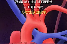 漫画科普：你的心，是怎么被伤害的？图片