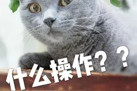 退还买房人的160万元房款，竟是银行练功券，背后牵涉一起合同诈骗案图片