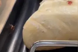 广州一宜家商场被指面包柜里有蟑螂，商家：全面消杀全额退款