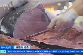 700多斤蓝鳍金枪鱼上演“开鱼秀”！一场视觉与味觉的双重盛宴→图片