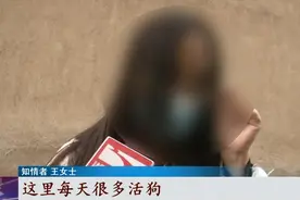 私房暗藏屠狗窝点！记者暗访：狗贩子当场宰杀活狗，现场一声声惨叫……图片