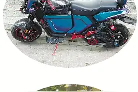 预防“先上牌后改装”莫把“工具”当“玩具”图片