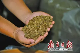 沉香一条街百变销海外图片