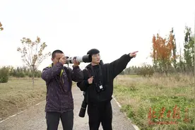 跟着观鸟专家走趟绿心公园，两小时竟遇到17种鸟图片