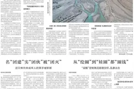 7万元一幅画、50万元一个娃……“设圈”定制乱象丛生图片