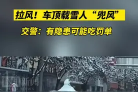 河北一司机车顶载雪人“兜风”，交警：有隐患可能吃罚单图片