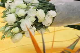 浙江：将实现六项基本惠民殡葬服务全流程免费