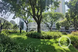 发现重庆之美丨江北五简路边角地大变身！这里是花园更是乐园图片