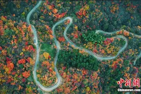 安徽岳西：山林浸染 五彩斑斓图片