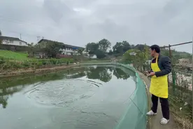 倪星云：“我家住在‘玫瑰海’，花果鱼店样样有”图片